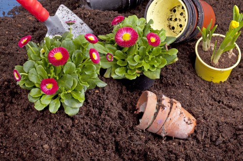 Professional lawn care in Highbury for residential gardens