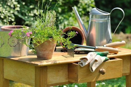 Planning a shed installation in Highbury for a home garden