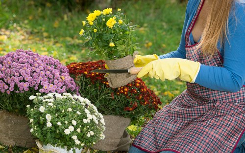 Regular lawn mowing service for homes and businesses around Highbury
