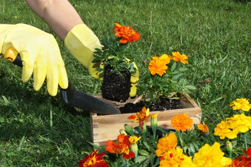 Low-maintenance planting and paving by landscape gardeners in Highbury