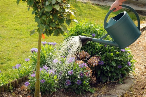 Commercial lawn care for shared outdoor spaces in Highbury