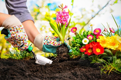 Local lawn maintenance for shaded and established gardens in Highbury