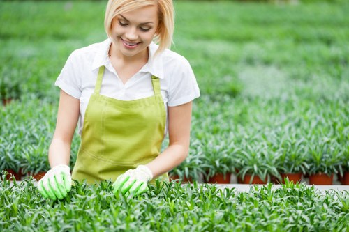 Free quote policy for Highbury landscapers and rubbish removal costs