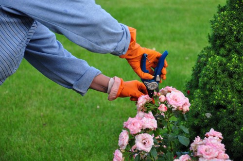 Seasonal garden maintenance work in a Highbury outdoor space