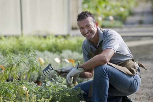 Professional hedge maintenance in Highbury residential garden